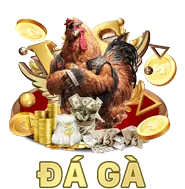 Hình ảnh tổng quan về Điều Khoản Dịch Vụ S8bet Chính Thức